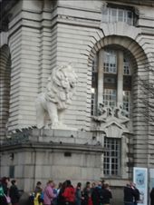 The White Lion : by jac995, Views[223]