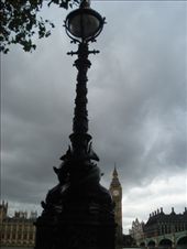 Dolphins curled around the lamps that line the Riverside walk.: by jac995, Views[186]