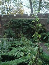 Gardens that supply the cafe of their ingredients for their delicious food.: by jac995, Views[170]