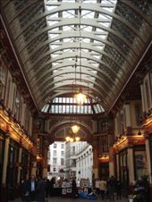 by jac995, Views[140]