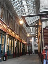 by jac995, Views[255]