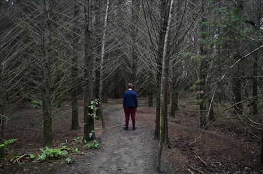 “CAN YOU HEAR ME?”
Sharing my favourite place with my brother; Waitarere Forest [2 of 3]

In Waitarere’s forest it’s dark, cold, damp and quite. It feels like you could walk forever on the pine needle floor and never get to the endof the forest. As a child playing in this forest, I loved hearing the echoes of my voice after I had yelled something. I told Scott to run ahead and scream “can you hear me?” he did and I heard the multiple echoes that came after. Echoes always have fascinated me; hearing your own voice carry on. It always makes me feel like they wouldn't stop till everyone had heard, what you had said.

I have not edited any of my photos, I love them to much as they are. I feel the darkness of the forest coming through; the depth. The photo to me, also shows exactly how I saw it with my own eyes. 