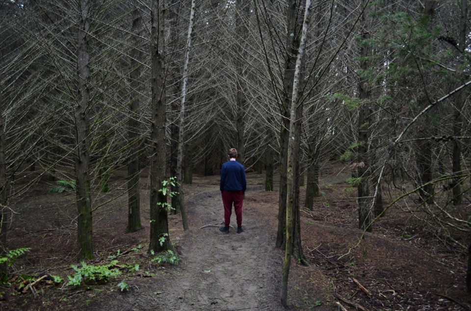 “CAN YOU HEAR ME?”
Sharing my favourite place with my brother; Waitarere Forest [2 of 3]

In Waitarere’s forest it’s dark, cold, damp and quite. It feels like you could walk forever on the pine needle floor and never get to the endof the forest. As a child playing in this forest, I loved hearing the echoes of my voice after I had yelled something. I told Scott to run ahead and scream “can you hear me?” he did and I heard the multiple echoes that came after. Echoes always have fascinated me; hearing your own voice carry on. It always makes me feel like they wouldn't stop till everyone had heard, what you had said.

I have not edited any of my photos, I love them to much as they are. I feel the darkness of the forest coming through; the depth. The photo to me, also shows exactly how I saw it with my own eyes. 