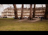 by jackfrost, Views[167]