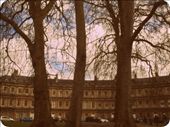 by jackfrost, Views[143]