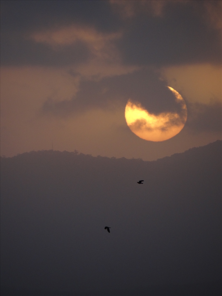 The sunset taken from my back veranda. Taken during a small dust storm.