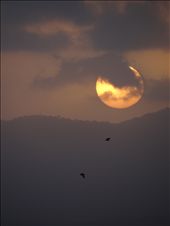 The sunset taken from my back veranda. Taken during a small dust storm.: by jacktuxford, Views[275]