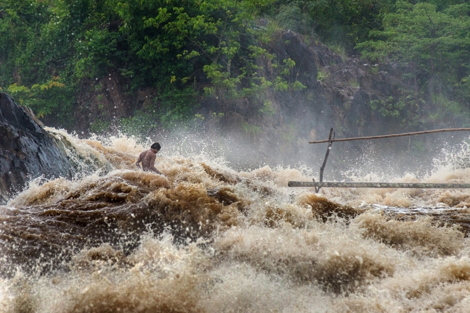 The sheer power of the river is clear as a fisherman struggles to reach the bamboo bridge. The fisherman use a combination of throw nets and bamboo fishing traps to catch migratory fish travelling up through the falls. Due to the nature of the traps’ location, the fishermen have to risk their lives navigating the falls across a series of bamboo bridges and rope lines, one small slip on the bamboo could result in death for the fisherman.