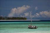 Passing the Islands; Zanzibar actually exists of two large island, Inguya and Pemba, together with hundreds of small islands. Sometimes the island is nothing more than a sand bank sticking it's head out during low tide.: by jacques, Views[559]
