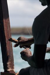 Catching dinner on the way home: Fishing has for a long time been one of the main activities of the people of Zanzibar, but it has seriously damaged the reefsand depleted the stock. Today there is a strong friction between those earning their money from fishing, and thoes earning it from tourism. Even those on the tourism side need to eat it seems.: by jacquestravels, Views[325]