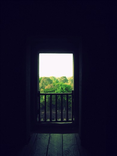 Looking out from Angkor Wat