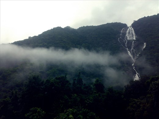 A river known as  Mandovi descends downwards from a  from a ghat forming Dudhsagar (Stream of milk) is located in Western Ghats. During monsoons the view will be amazing. This photograph captures the waterfall from top to foot.