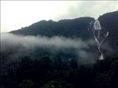 A river known as  Mandovi descends downwards from a  from a ghat forming Dudhsagar (Stream of milk) is located in Western Ghats. During monsoons the view will be amazing. This photograph captures the waterfall from top to foot.: by jadimath, Views[691]