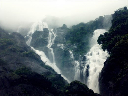 From Home to Dudhsagar through the trains & the tunnels was one bumpy Adventure just to catch a glimpse of this wonderful waterfall. This photograph is captured from the bottom of the waterfall. The fog, the rocks, the stream, the greens they take the breath away, leaving you mesmerized.  