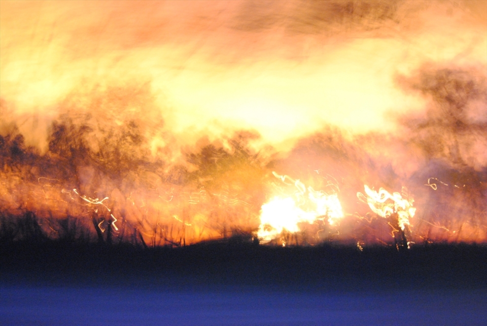 bush fires out near casterton