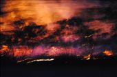 bush fire : by jadsteenholdt, Views[326]