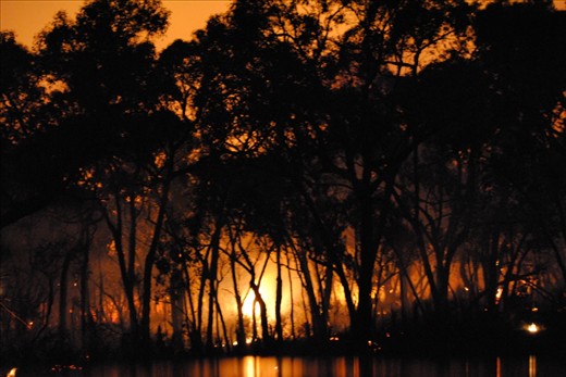 bush fire with a glow
