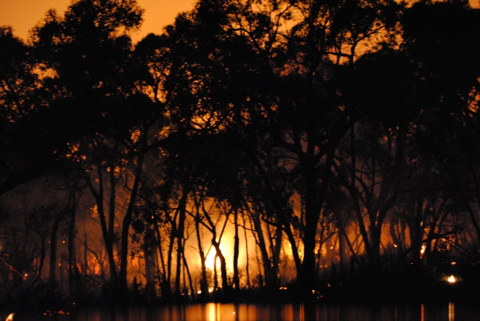 bush fire with a glow