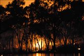 bush fire with a glow: by jadsteenholdt, Views[271]