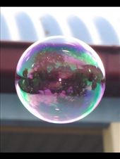 bubble life, my little friend aged 5 was blowing bubbles and asked me if i could take a photo of it so she could see it from a high view, after i did she said 