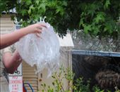 by jadsteenholdt, Views[94]