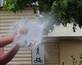 by jadsteenholdt, Views[148]