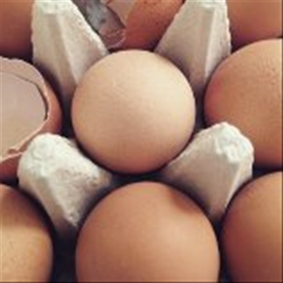 Eggcellent start to the day