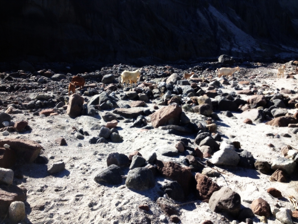 The terrain is so rugged and dangerous due to the landslides and falling rocks that only mountain goats dare live in the area.