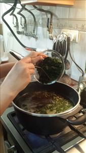 Adding vegetables: by jahangard, Views[347]