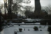 A view of Aunt Maris' front yard after the first snowfall. : by jahleelmilalai, Views[216]