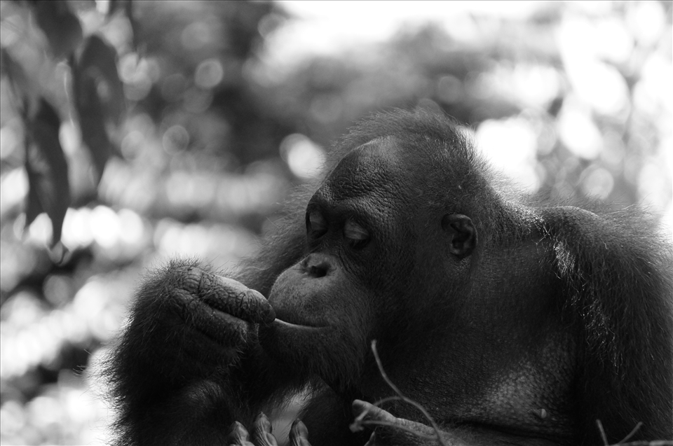 The treats were too delectable to waste on the public for long.