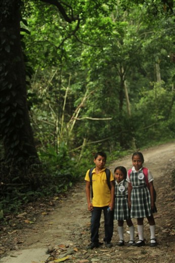 Early in the morning, in one of the paths inside the Tayrona forest, I popped up with these three brothers. They live deep inside the forest, and as soon as they come back from school, they help their parents getting some fish for dinner.