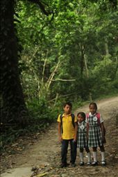Early in the morning, in one of the paths inside the Tayrona forest, I popped up with these three brothers. They live deep inside the forest, and as soon as they come back from school, they help their parents getting some fish for dinner.: by jairo89, Views[346]