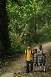 Early in the morning, in one of the paths inside the Tayrona forest, I popped up with these three brothers. They live deep inside the forest, and as soon as they come back from school, they help their parents getting some fish for dinner.: by jairo89, Views[227]