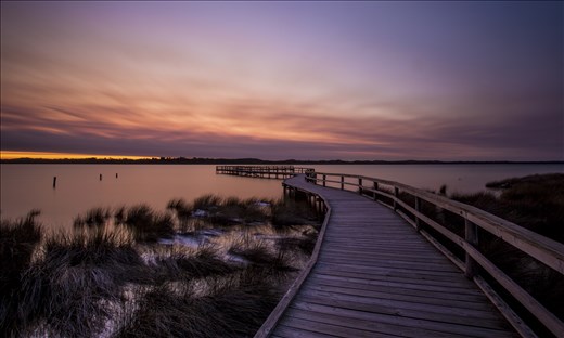 Thrombolite Site, Lake Clifton, Western Australia