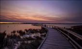 Thrombolite Site, Lake Clifton, Western Australia: by jakedyer, Views[206]