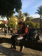 Maya working her way through the entire Harry Potter Series: by jakemoffat, Views[545]