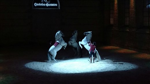 The Royal Stables of Cordoba
