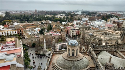 The view from the top of the Giralda...stunning!