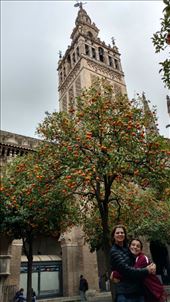 Maya, Beth, oranges, and the Giralda...: by jakemoffat, Views[1004]
