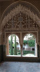 Another irresitable photo opportunity: by jakemoffat, Views[203]