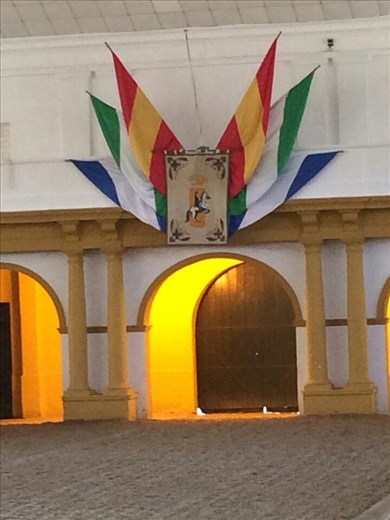 Before the horse show