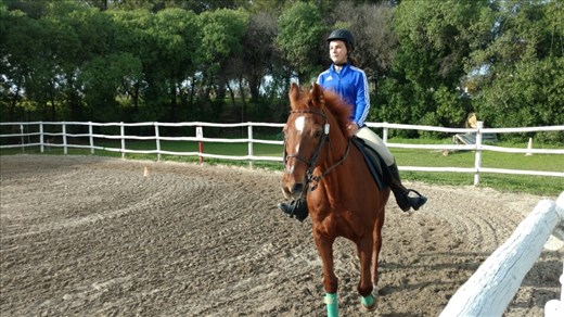Maya on Olivo at her riding lesson