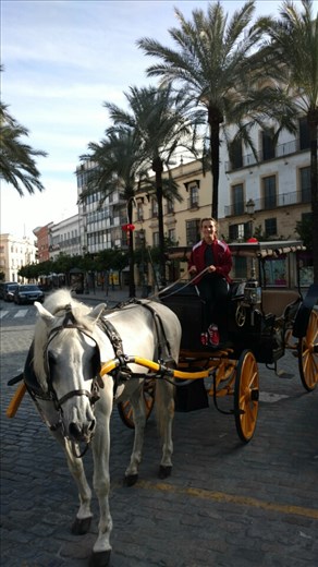 He did, in fact, let Maya drive