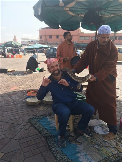 hmmm...that is a big snake