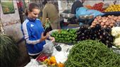 Maya picking vegetables for our cooking class in Marrakesh: by jakemoffat, Views[317]
