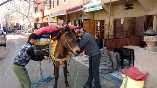 Hussain packing our mule, Hermione, for our trek