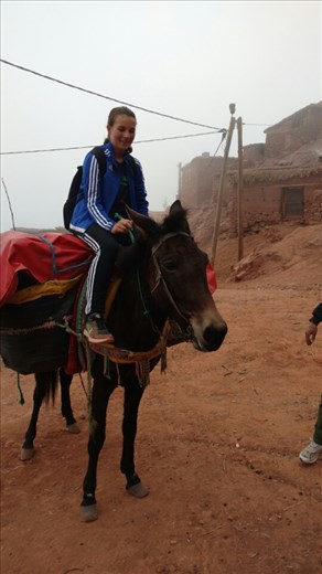 Maya likes mules...each Berber family has at least one mule, and they work hard.
