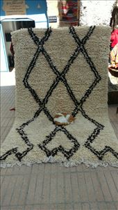 Cats are everywhere in Essaouria, but does this help carpet sales?: by jakemoffat, Views[374]