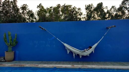 A continuing series of photos of maya reading